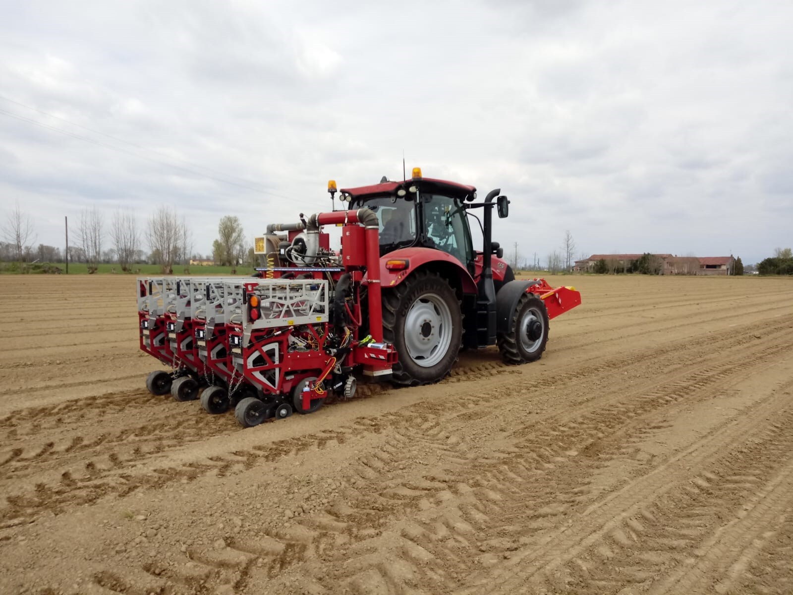 italy-planting-2020.jpg Image italy-planting-2020.jpg Image