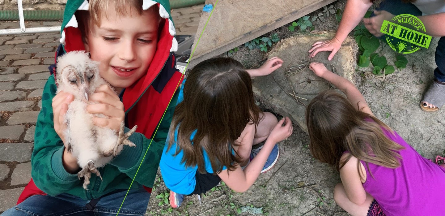 Fun Stem Activities For Kids Bayer Fun Stem Activities For Kids Bayer