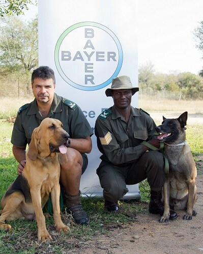 Kruger Dogs Kruger Dogs