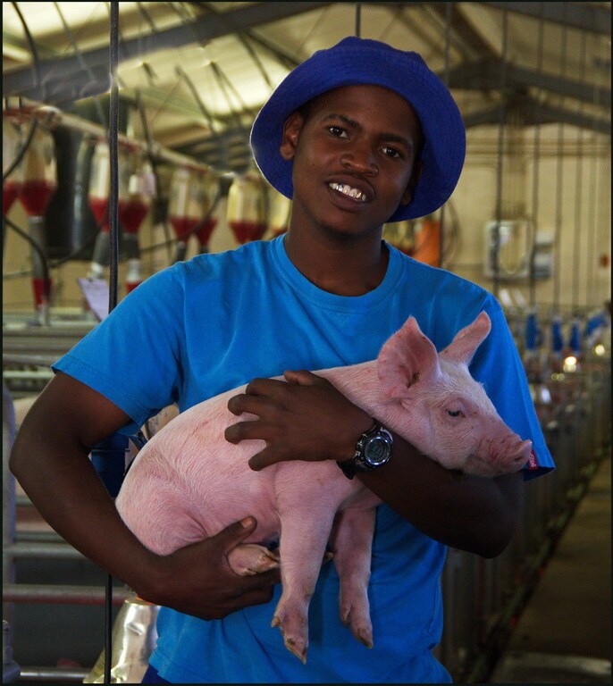 Siphiwe with Piglet B PV Siphiwe with Piglet B PV