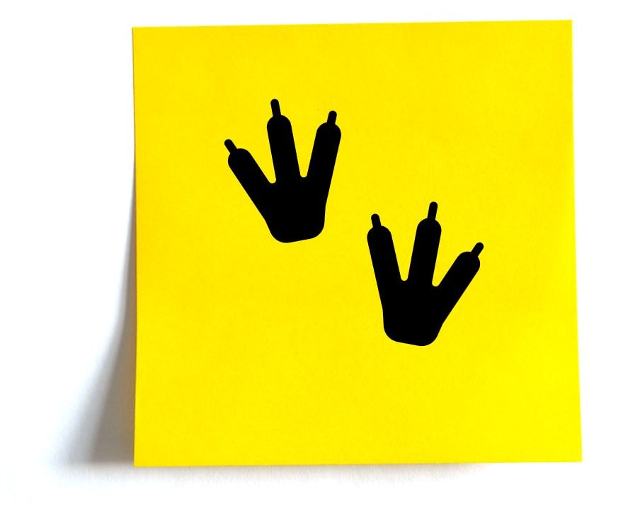 Sticky Notes1_shadow.jpg Sticky Notes1_shadow.jpg