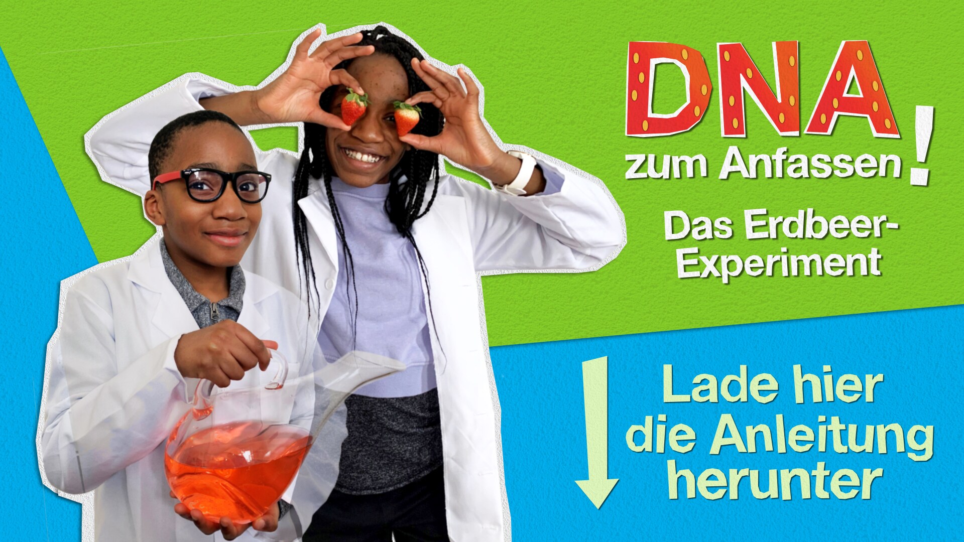 Bayer Entschlusselung Der Dna Die Buchstaben Des Lebens