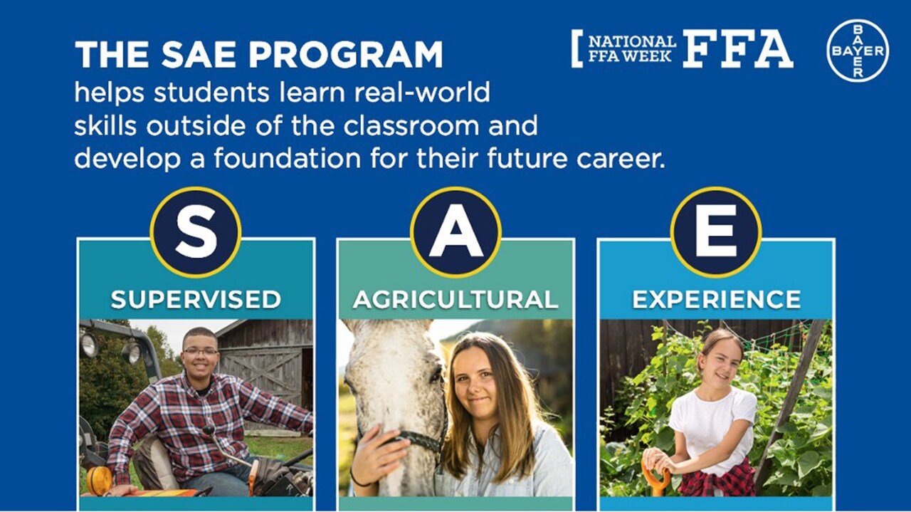 Stories Bayer United States