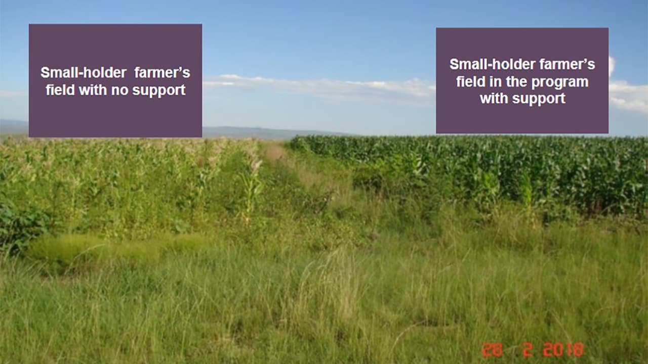 SEA Small-Holder Farmer Development SEA Small-Holder Farmer Development