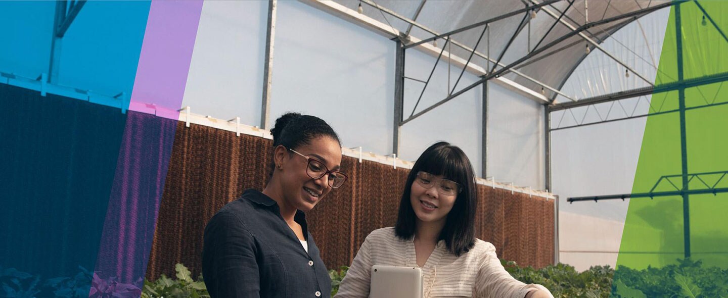 Scientists in a greenhouse