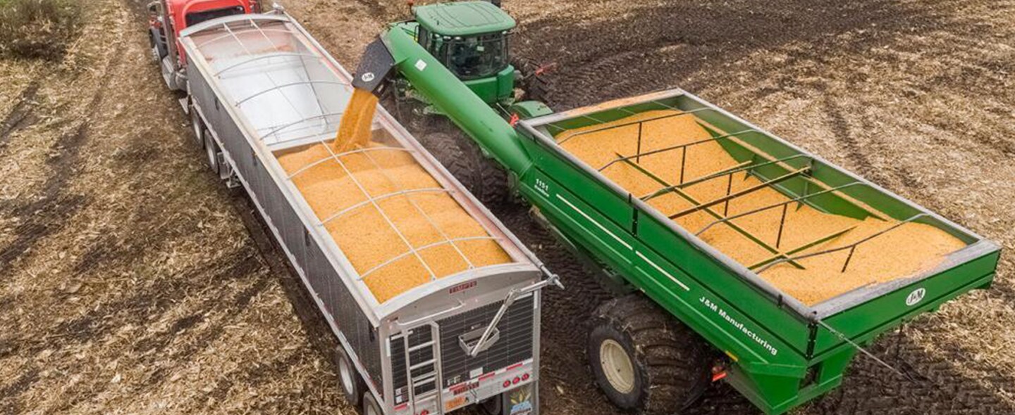 Truck being loaded with corn