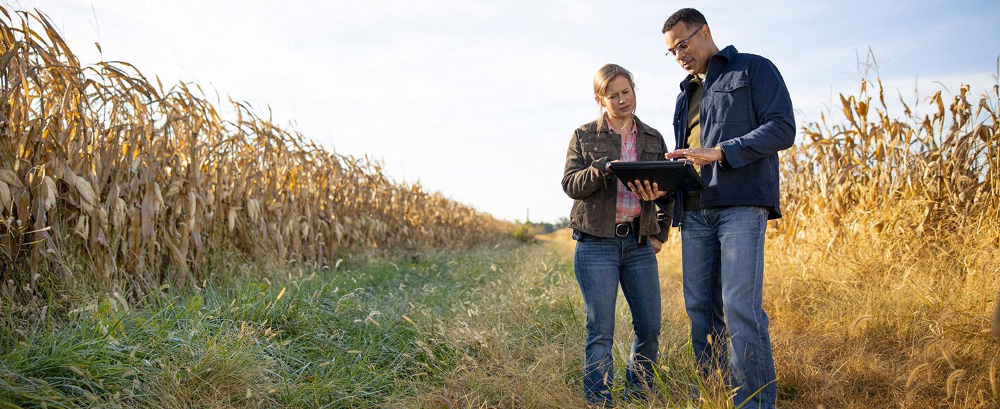 Plant experts reviewing data in a cornfield