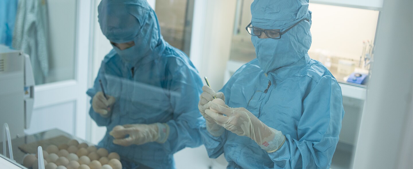 egg vaccine