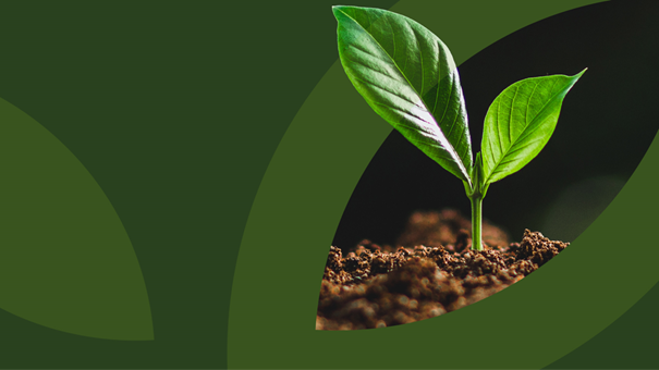 Regenerative Agriculture