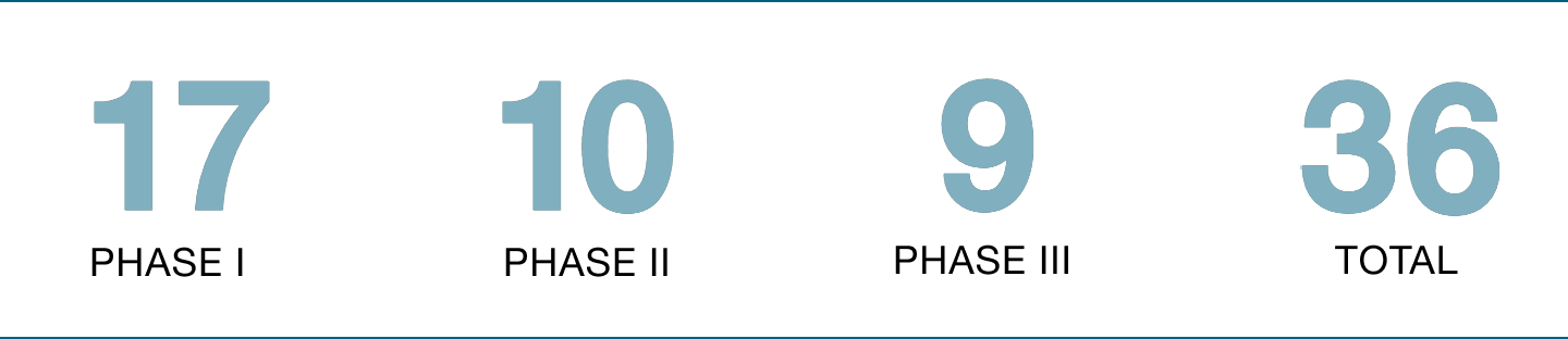 Uebersichtsgrafik-der-Phasen-08-02