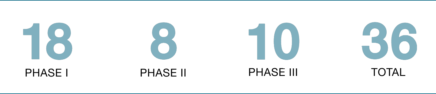 Uebersichtsgrafik-der-Phasen-08-02