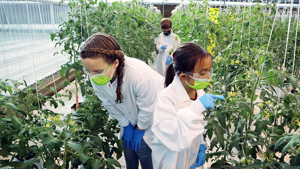 Bayer Baylab
