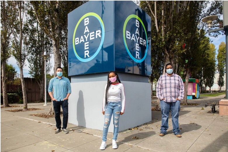 Bayer In Berkeley Bayer United States Of America