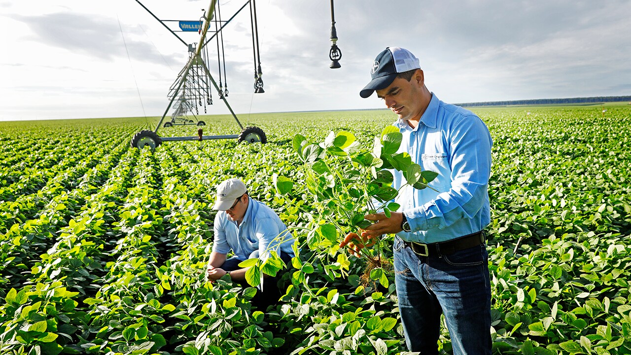Providing tailored agriculture solutions