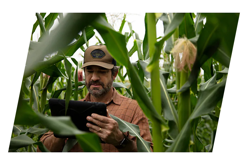 man looking at ipad