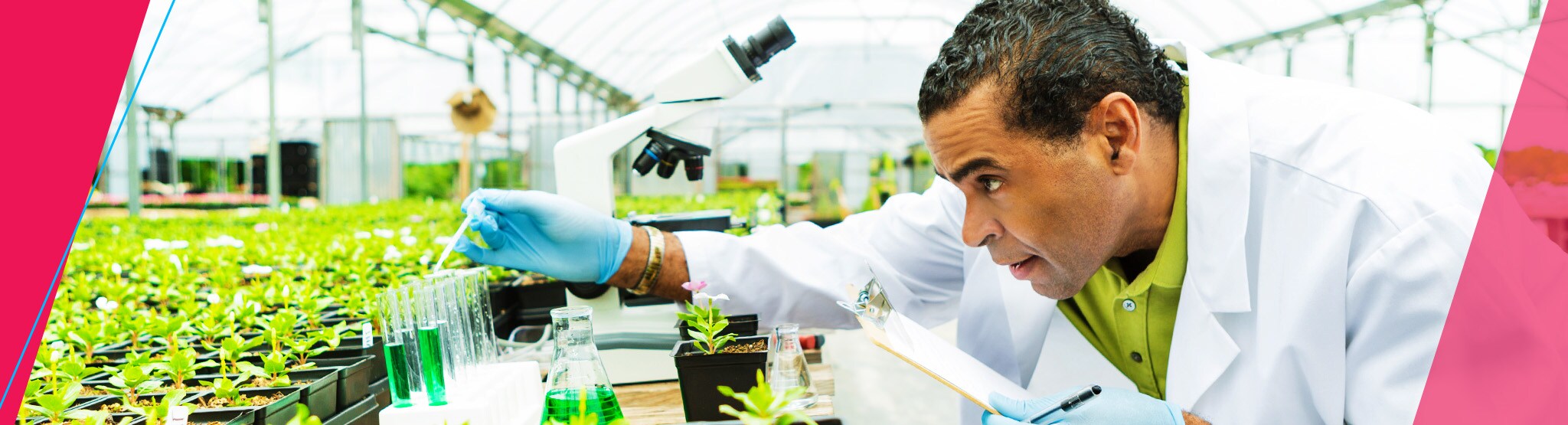 Plant Scientist