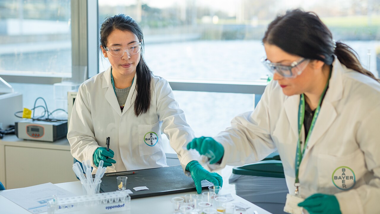 Researchers studying the next innovation