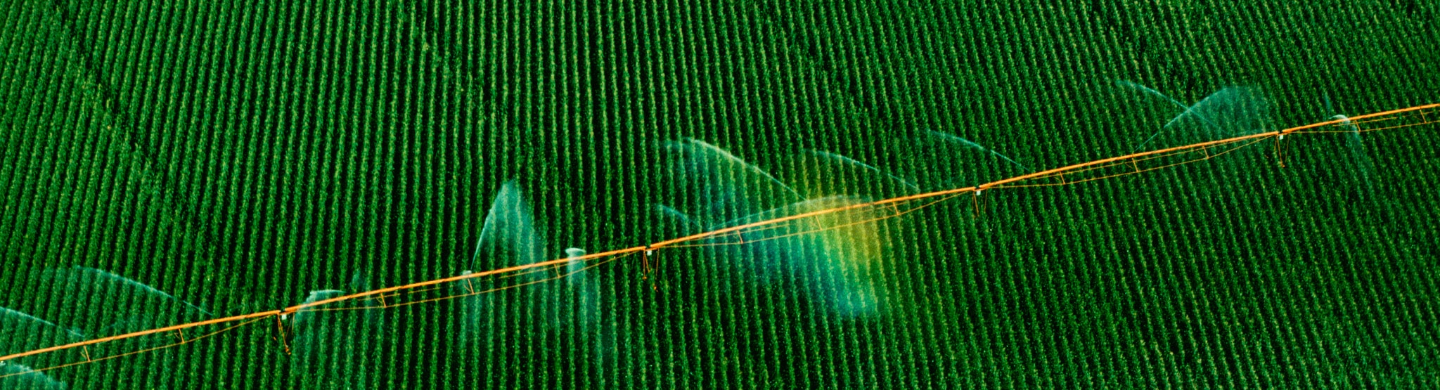 Modern irrigation system
