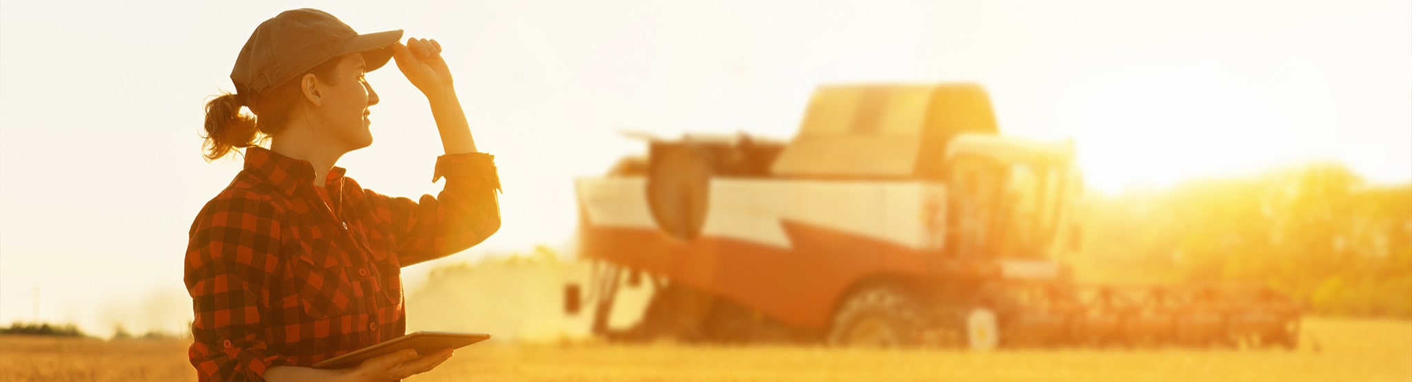 Farmer and combine