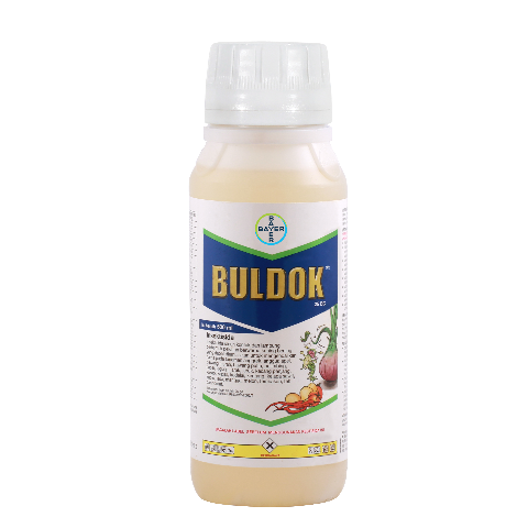 Buldok_id