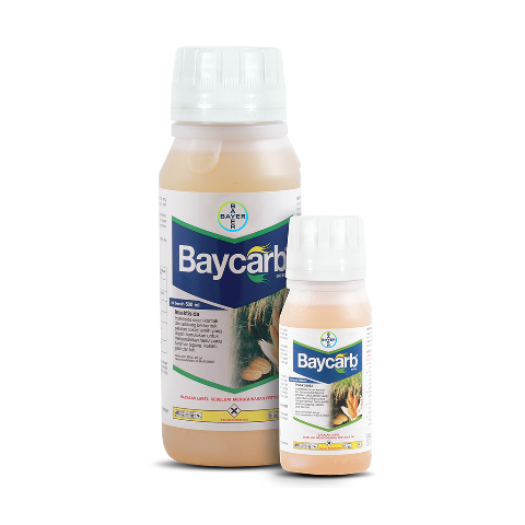 baycarb_id