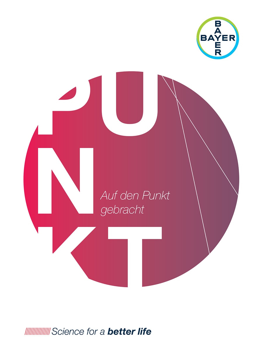 Deckblatt der Broschüre "Auf den Punkt"