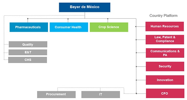 Bayerdemexicoorganigrama600.jpg 