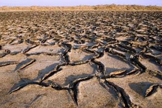 Climate