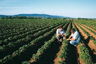 Crop Protection Safety Standards
