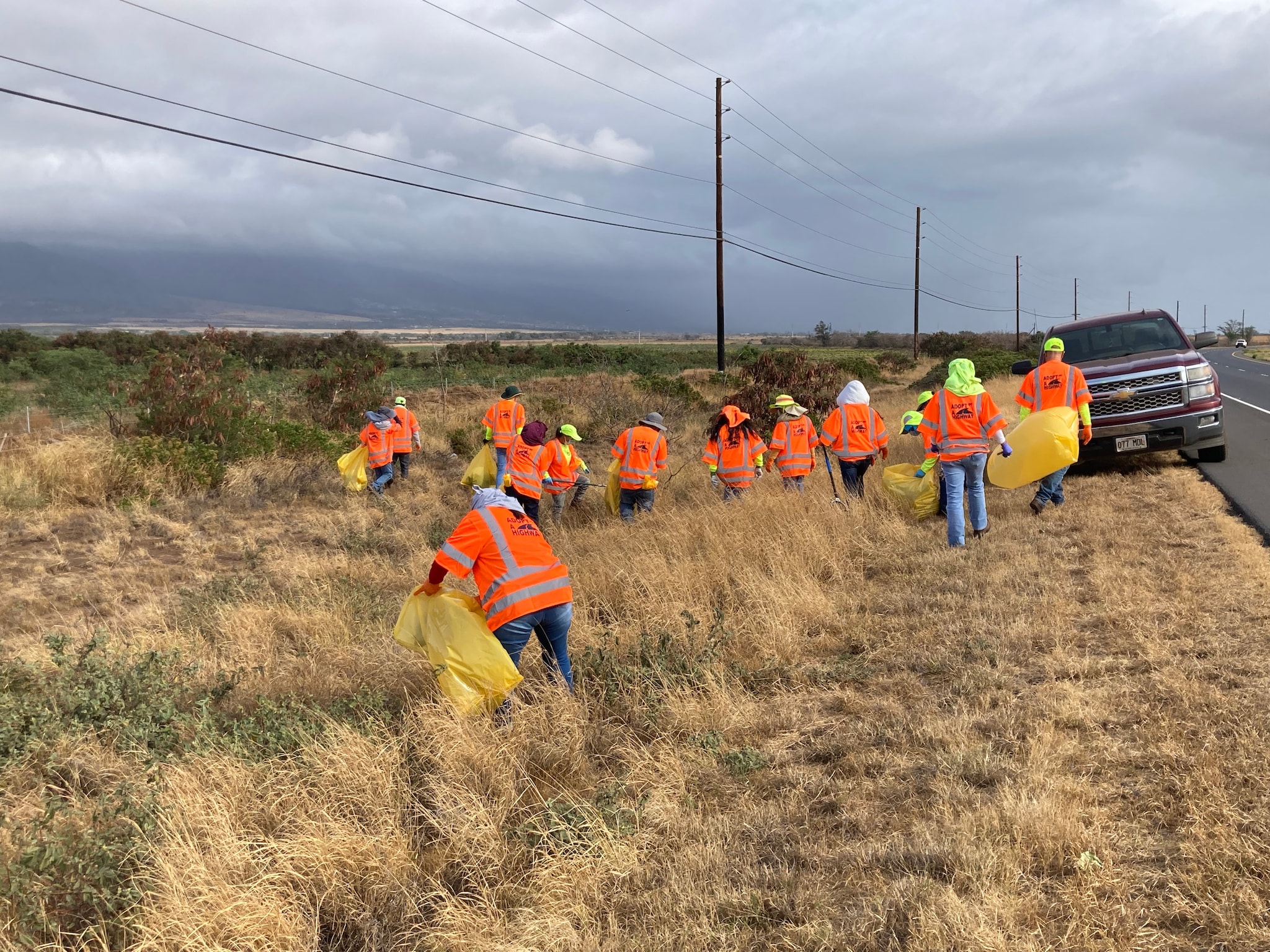 Bayer Hawaii employees preserve green spaces for Earth Day Bayer