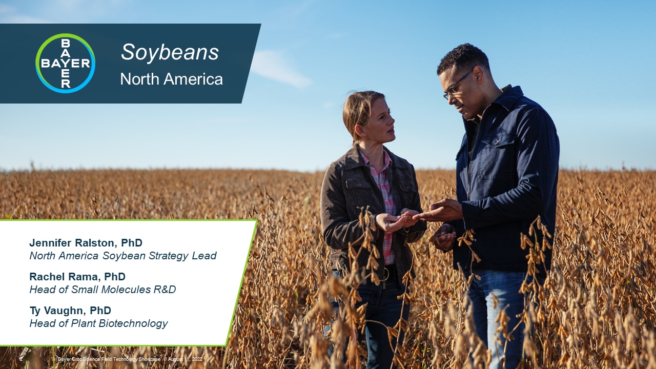 NA Soybeans