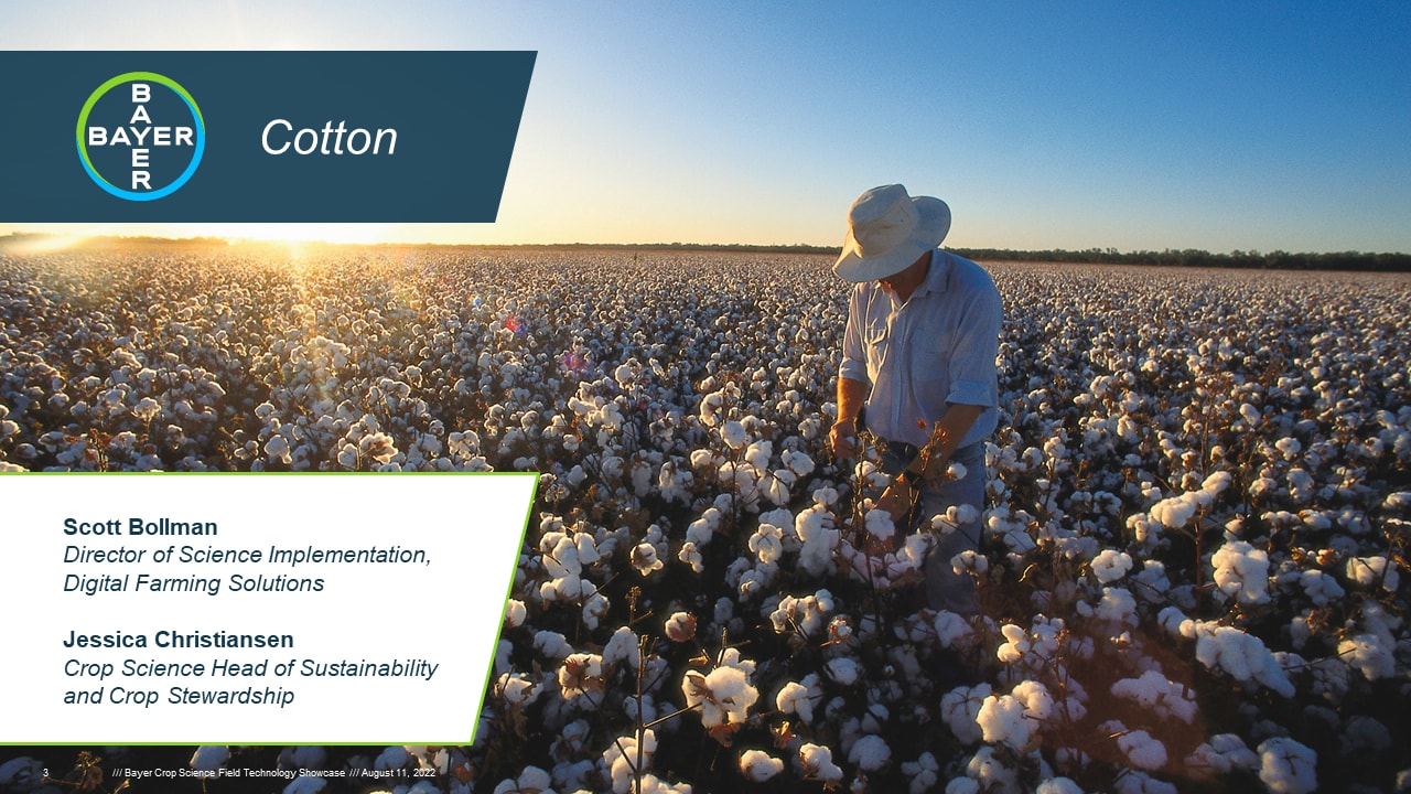 Cotton