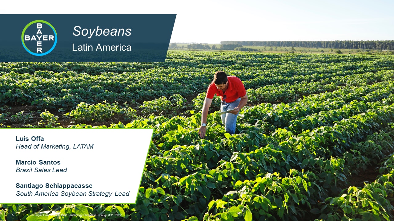 LATAM soybeans