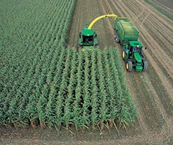 Foramsulfuron_250x210.jpg