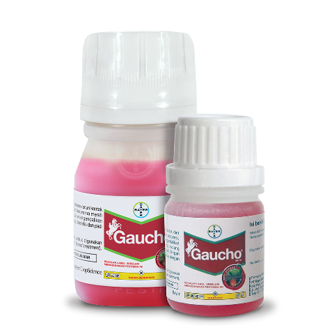 Gaucho_id