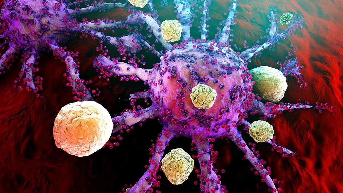 human cells