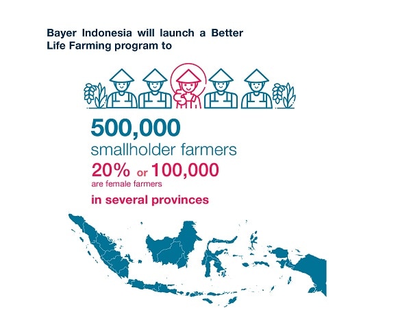 Image web banner.jpg