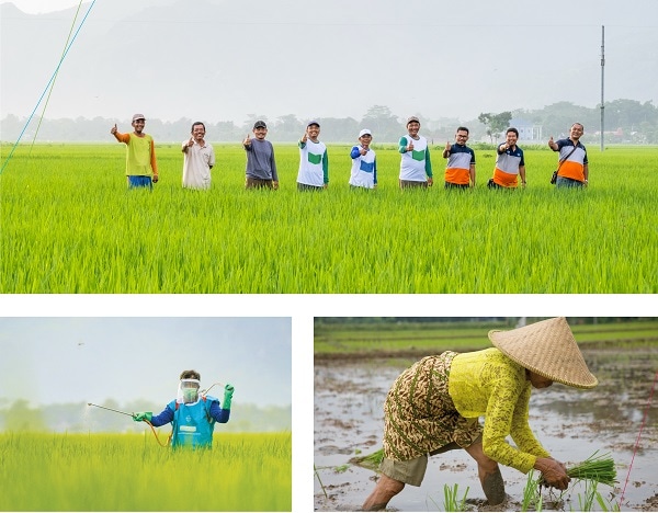 Better Life Farming Program - Bayer Indonesia