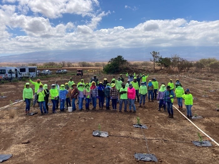Bayer Hawaii employee-volunteers pose for a photo after planting trees