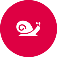 Pest-resistance-icon