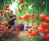 Picture1.jpg