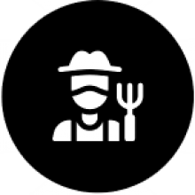 Picture1_0.png