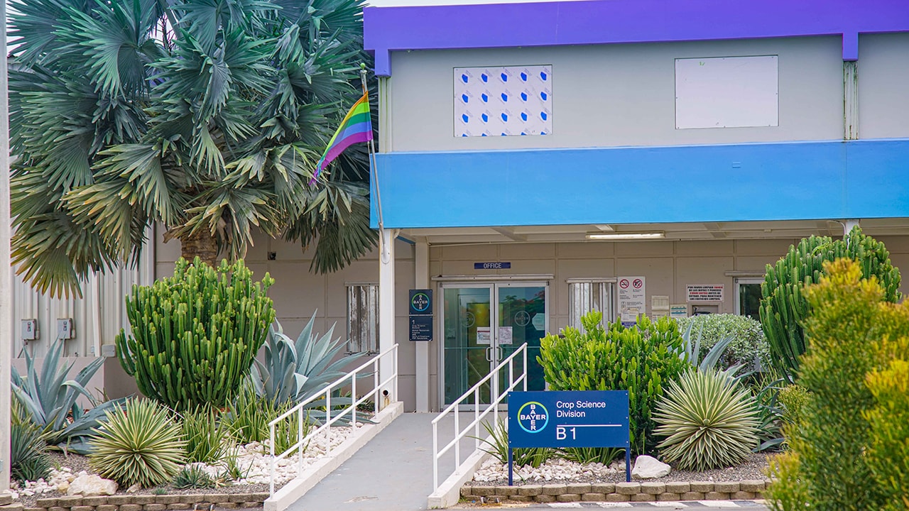 Bayer in Puerto Rico
