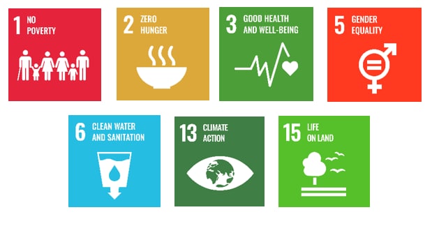 SDG