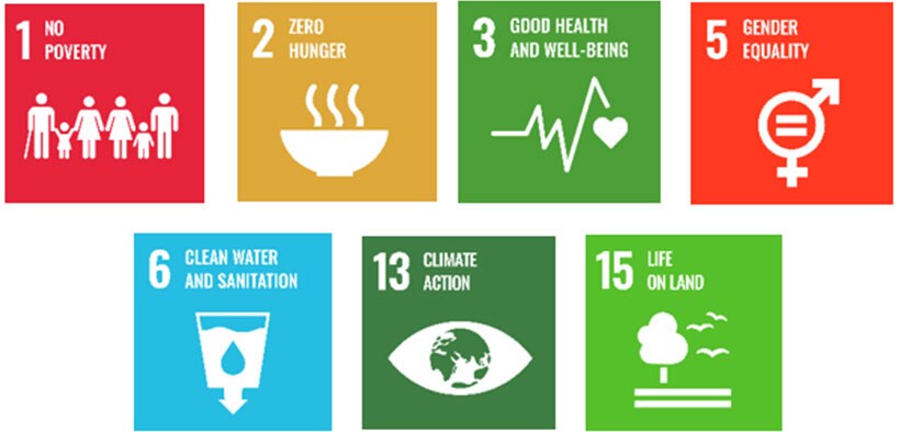 SDG
