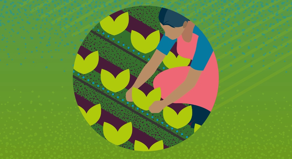 Illustration with green background and a bubble with women picking crops