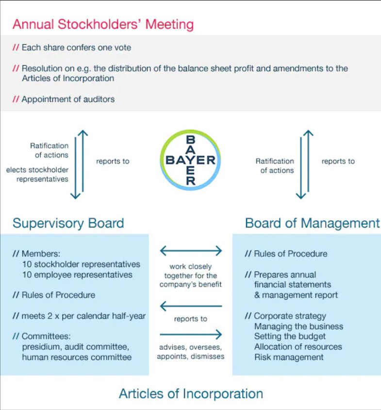 Infographic of Annual Stockholders Meeting