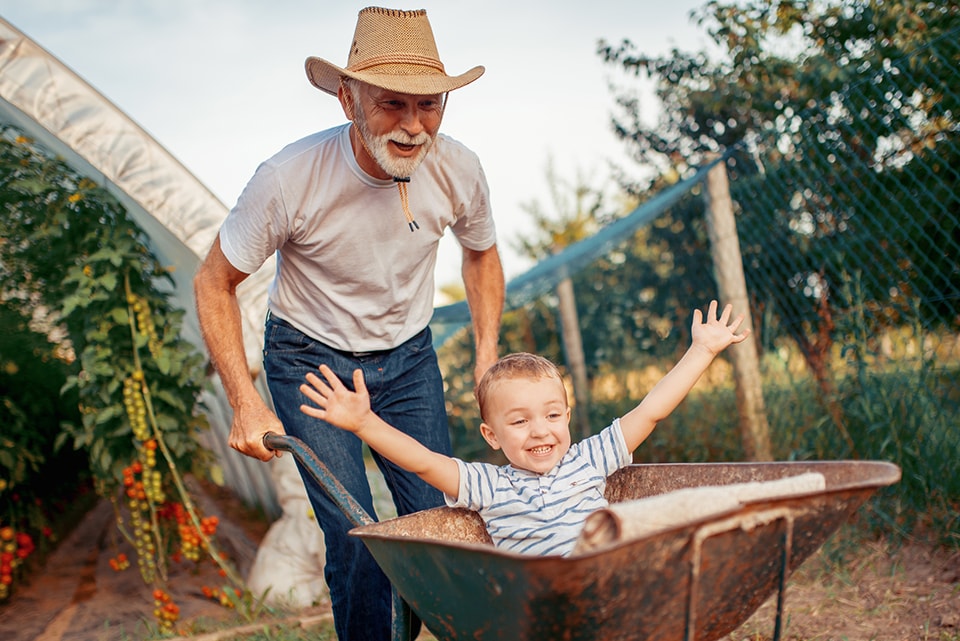 senior man with boy in wheelbarrow