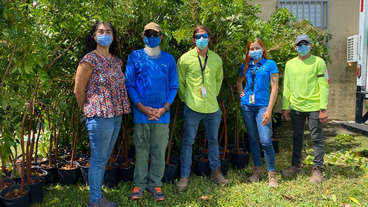 Bayer Puerto Rico