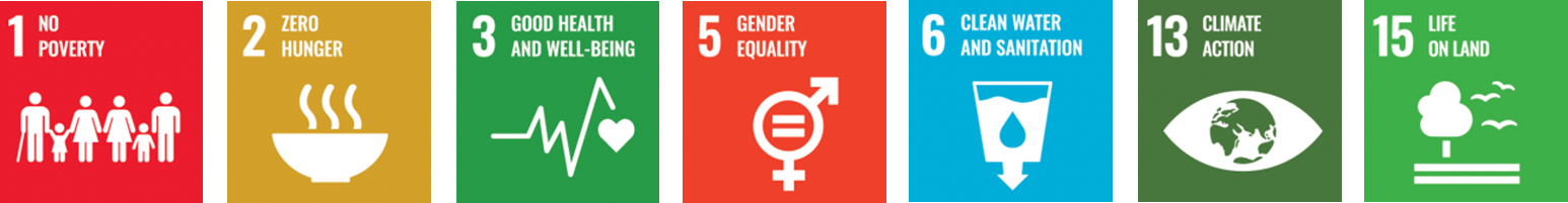 UN SDG